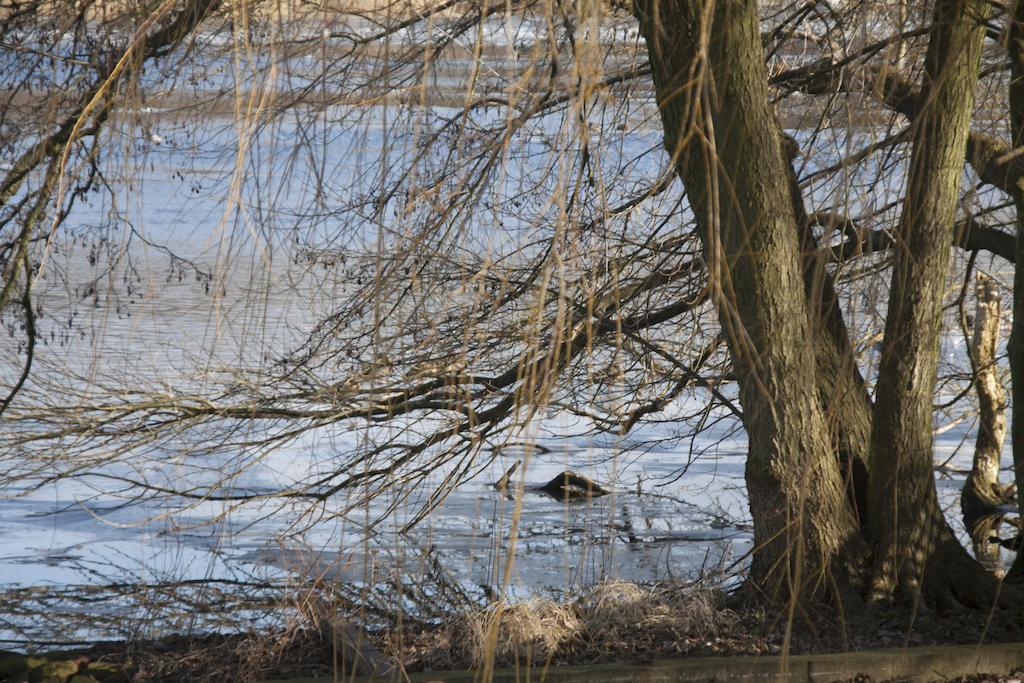 Villa Weissensee Πότσδαμ Εξωτερικό φωτογραφία